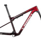 2023 Specialized Epic WC S-Works Frameset