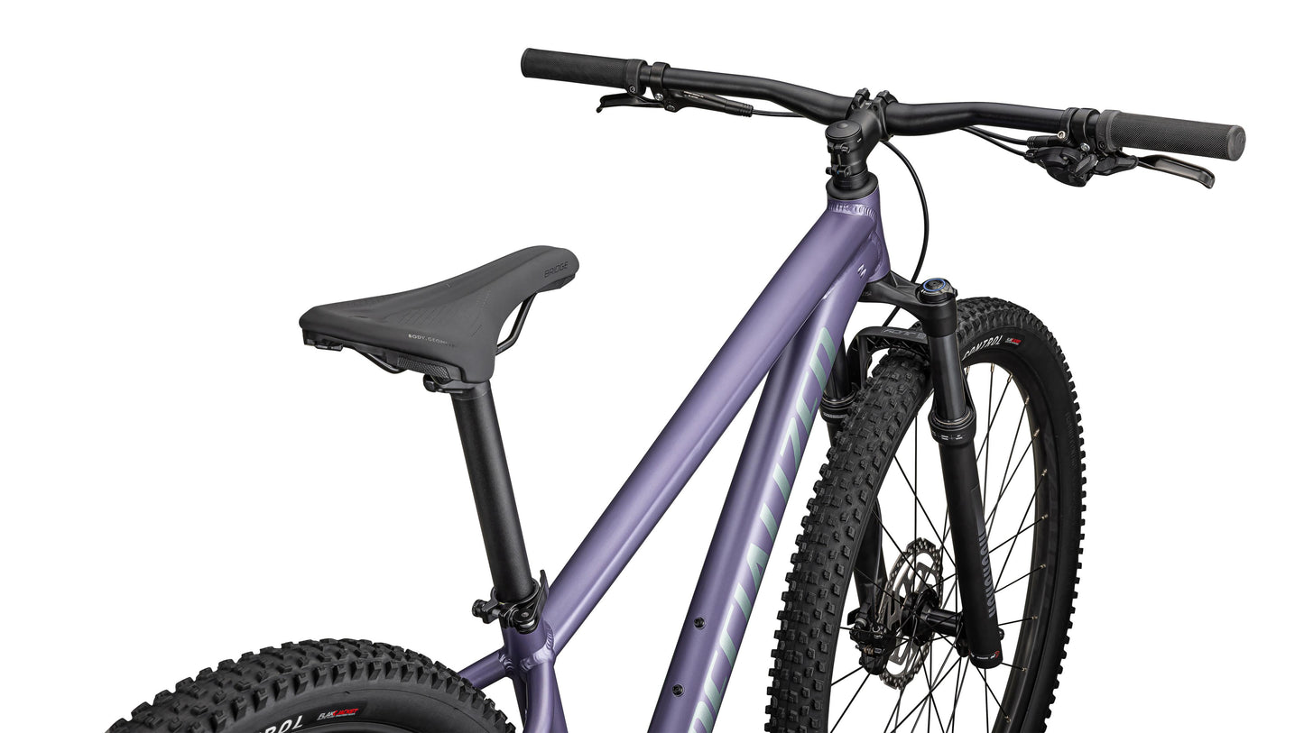 Specialized Rockhopper Comp