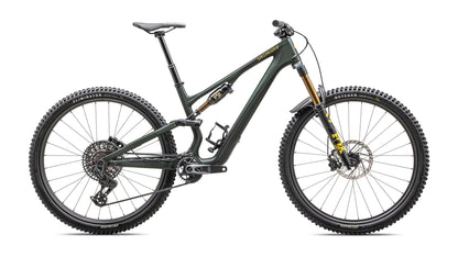 2025 Specialized Stumpjumper 15 Pro