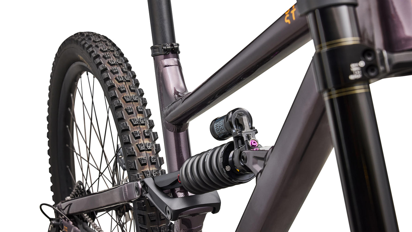 Specialized STATUS 2 170 DH