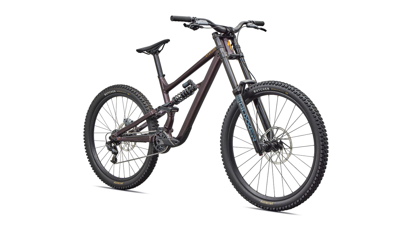 Specialized STATUS 2 170 DH