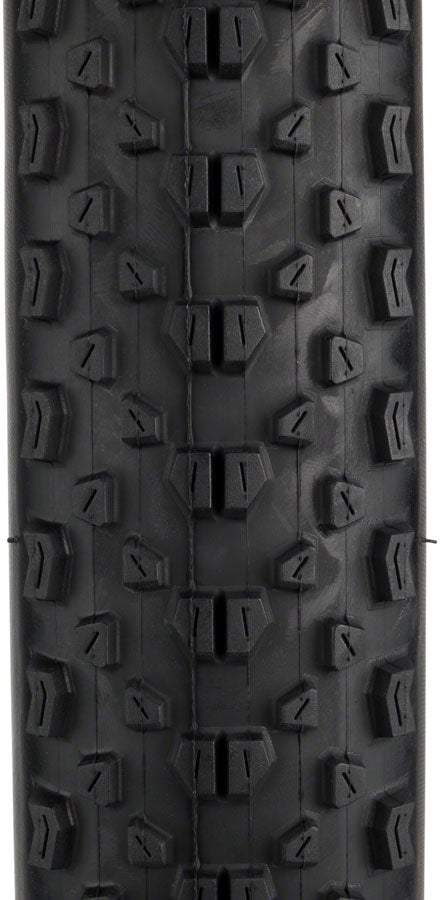 Maxxis Ikon Tire